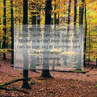 Picture 07 - Johannes 6:42 DA1871 - og de sagde: „Er dette ikke Jesus, Josefs Søn, - Bible Verse Picture