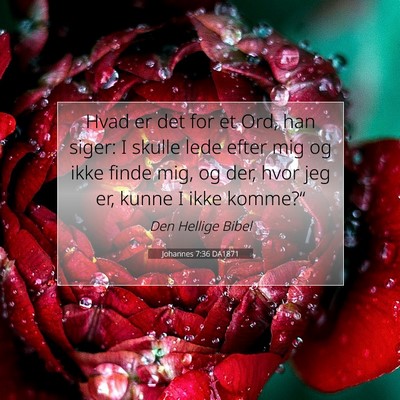 Picture 07 - Johannes 7:36 DA1871 - Hvad er det for et Ord, han siger: I skulle lede - Bible Verse Picture