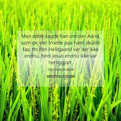 Picture 07 - Johannes 7:39 DA1871 - Men dette sagde han om den Aand, som de, der - Bible Verse Picture