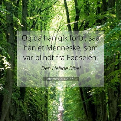 Picture 07 - Johannes 9:1 DA1871 - Og da han gik forbi, saa han et Menneske, som var - Bible Verse Picture