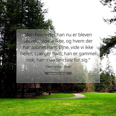 Picture 07 - Johannes 9:21 DA1871 - Men hvorledes han nu er bleven seende, vide vi - Bible Verse Picture