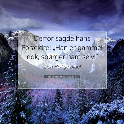 Picture 07 - Johannes 9:23 DA1871 - Derfor sagde hans Forældre: „Han er gammel - Bible Verse Picture