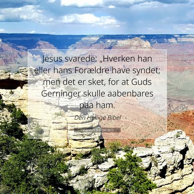 Picture 07 - Johannes 9:3 DA1871 - Jesus svarede: „Hverken han eller hans - Bible Verse Picture