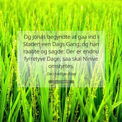 Picture 07 - Jonas 3:4 DA1871 - Og Jonas begyndte at gaa ind i Staden een Dags - Bible Verse Picture