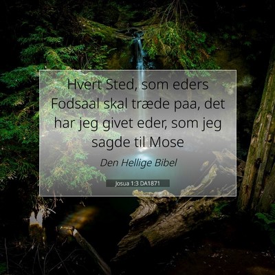 Picture 07 - Josua 1:3 DA1871 - Hvert Sted, som eders Fodsaal skal træde paa, - Bible Verse Picture