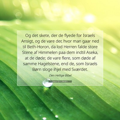 Picture 07 - Josua 10:11 DA1871 - Og det skete, der de flyede for Israels Ansigt, - Bible Verse Picture