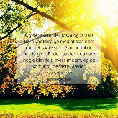 Picture 07 - Josua 10:20 DA1871 - Og det skete, der Josva og Israels Børn var - Bible Verse Picture