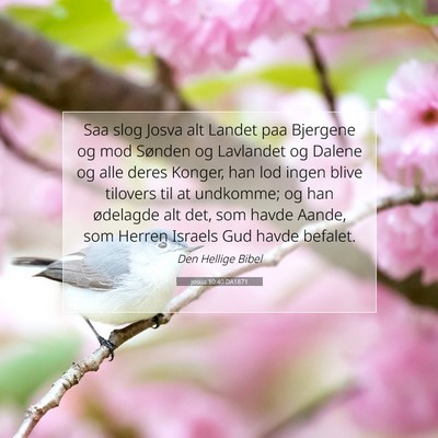 Picture 07 - Josua 10:40 DA1871 - Saa slog Josva alt Landet paa Bjergene og mod - Bible Verse Picture