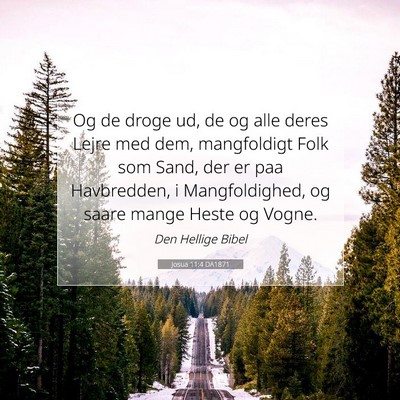 Picture 07 - Josua 11:4 DA1871 - Og de droge ud, de og alle deres Lejre med dem, - Bible Verse Picture