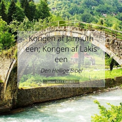 Picture 07 - Josua 12:11 DA1871 - Kongen af Jarmuth een; Kongen af Lakis - Bible Verse Picture