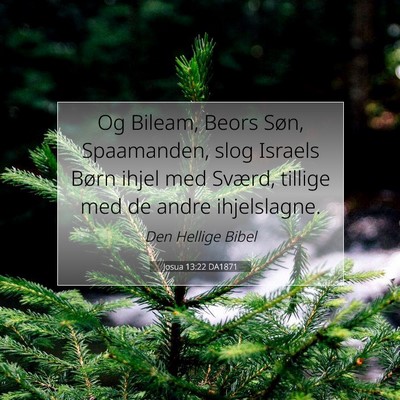 Picture 07 - Josua 13:22 DA1871 - Og Bileam, Beors Søn, Spaamanden, slog Israels - Bible Verse Picture
