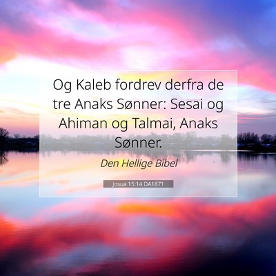 Picture 07 - Josua 15:14 DA1871 - Og Kaleb fordrev derfra de tre Anaks Sønner: - Bible Verse Picture