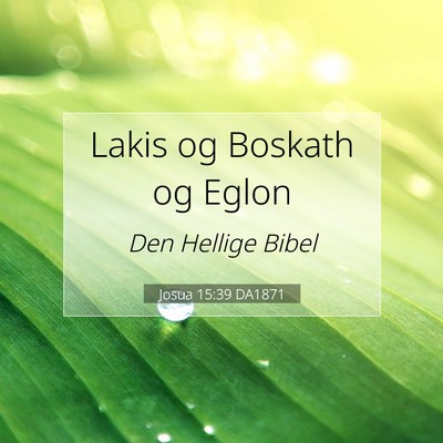 Picture 07 - Josua 15:39 DA1871 - Lakis og Boskath og - Bible Verse Picture
