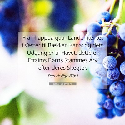 Picture 07 - Josua 16:8 DA1871 - Fra Thappua gaar Landemærket i Vester til - Bible Verse Picture