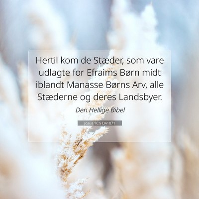 Picture 07 - Josua 16:9 DA1871 - Hertil kom de Stæder, som vare udlagte for - Bible Verse Picture