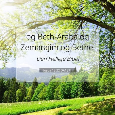 Picture 07 - Josua 18:22 DA1871 - og Beth-Araba og Zemarajim og - Bible Verse Picture