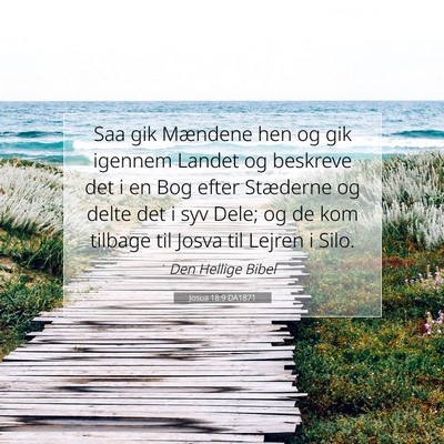 Picture 07 - Josua 18:9 DA1871 - Saa gik Mændene hen og gik igennem Landet og - Bible Verse Picture