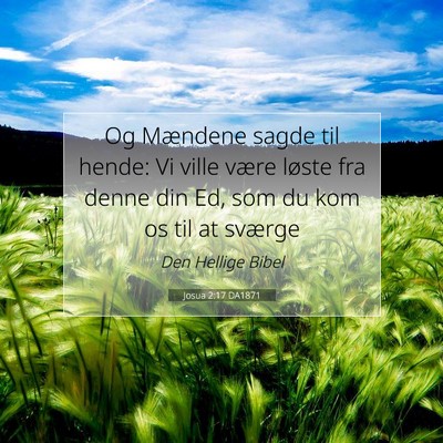 Picture 07 - Josua 2:17 DA1871 - Og Mændene sagde til hende: Vi ville være - Bible Verse Picture