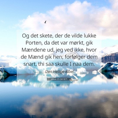 Picture 07 - Josua 2:5 DA1871 - Og det skete, der de vilde lukke Porten, da det - Bible Verse Picture