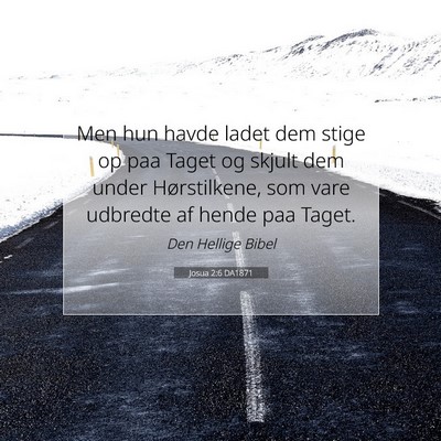 Picture 07 - Josua 2:6 DA1871 - Men hun havde ladet dem stige op paa Taget og - Bible Verse Picture