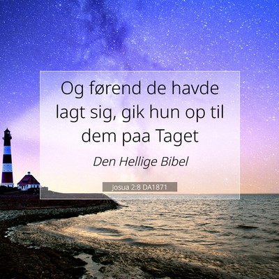 Picture 07 - Josua 2:8 DA1871 - Og førend de havde lagt sig, gik hun op til dem - Bible Verse Picture