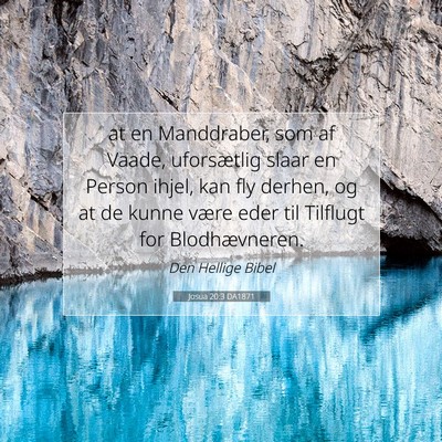 Picture 07 - Josua 20:3 DA1871 - at en Manddraber, som af Vaade, uforsætlig slaar - Bible Verse Picture