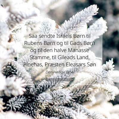 Picture 07 - Josua 22:13 DA1871 - Saa sendte Israels Børn til Rubens Børn og til - Bible Verse Picture
