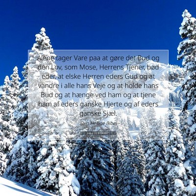 Picture 07 - Josua 22:5 DA1871 - Alene tager Vare paa at gøre det Bud og den Lov, - Bible Verse Picture