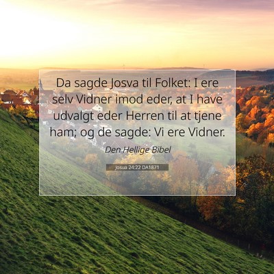 Picture 07 - Josua 24:22 DA1871 - Da sagde Josva til Folket: I ere selv Vidner imod - Bible Verse Picture