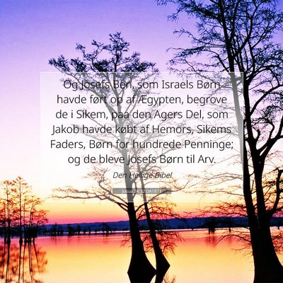Picture 07 - Josua 24:32 DA1871 - Og Josefs Ben, som Israels Børn havde ført op - Bible Verse Picture