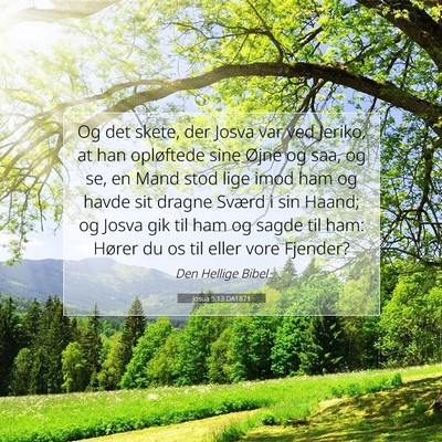 Picture 07 - Josua 5:13 DA1871 - Og det skete, der Josva var ved Jeriko, at han - Bible Verse Picture