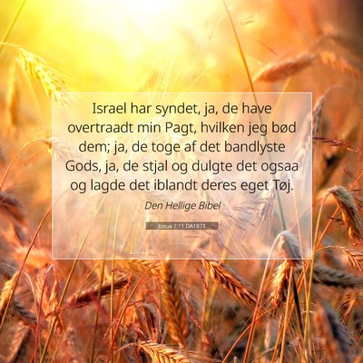 Picture 07 - Josua 7:11 DA1871 - Israel har syndet, ja, de have overtraadt min - Bible Verse Picture