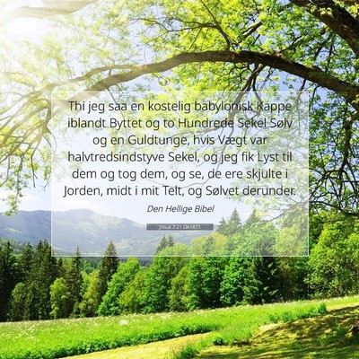 Picture 07 - Josua 7:21 DA1871 - Thi jeg saa en kostelig babylonisk Kappe iblandt - Bible Verse Picture