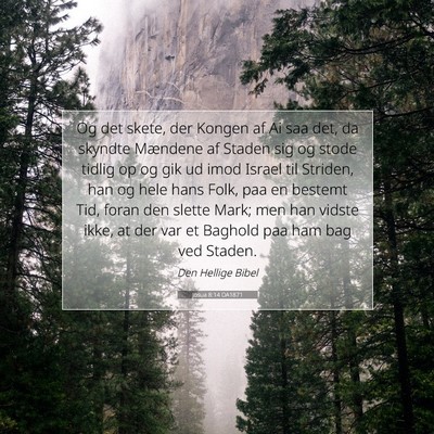 Picture 07 - Josua 8:14 DA1871 - Og det skete, der Kongen af Ai saa det, da - Bible Verse Picture