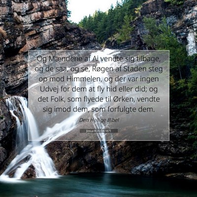 Picture 07 - Josua 8:20 DA1871 - Og Mændene af Ai vendte sig tilbage, og de saa, - Bible Verse Picture