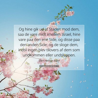 Picture 07 - Josua 8:22 DA1871 - Og hine gik ud af Staden mod dem, saa de vare - Bible Verse Picture