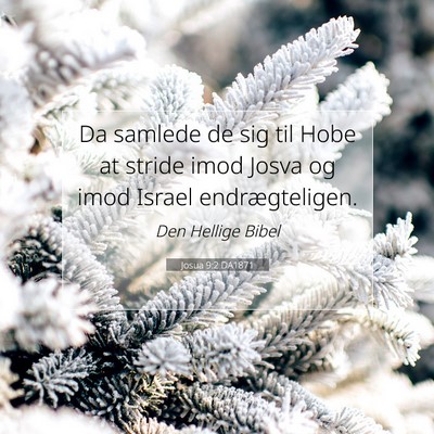 Picture 07 - Josua 9:2 DA1871 - Da samlede de sig til Hobe at stride imod Josva - Bible Verse Picture