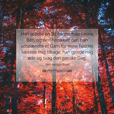 Picture 07 - Klagesangene 1:13 DA1871 - Han sendte en Ild fra det høje i mine Ben, og - Bible Verse Picture