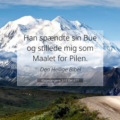 Picture 07 - Klagesangene 3:12 DA1871 - Han spændte sin Bue og stillede mig som Maalet - Bible Verse Picture