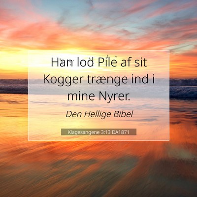 Picture 07 - Klagesangene 3:13 DA1871 - Han lod Pile af sit Kogger trænge ind i mine - Bible Verse Picture