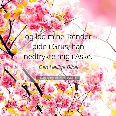 Picture 07 - Klagesangene 3:16 DA1871 - og lod mine Tænder bide i Grus, han nedtrykte - Bible Verse Picture