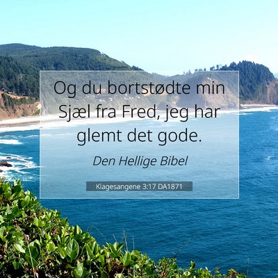 Picture 07 - Klagesangene 3:17 DA1871 - Og du bortstødte min Sjæl fra Fred, jeg har - Bible Verse Picture