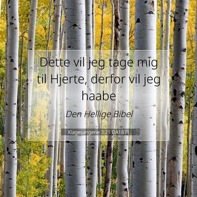 Picture 07 - Klagesangene 3:21 DA1871 - Dette vil jeg tage mig til Hjerte, derfor vil jeg - Bible Verse Picture
