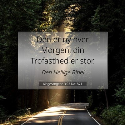 Picture 07 - Klagesangene 3:23 DA1871 - Den er ny hver Morgen, din Trofasthed er - Bible Verse Picture