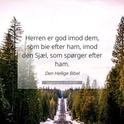 Picture 07 - Klagesangene 3:25 DA1871 - Herren er god imod dem, som bie efter ham, imod - Bible Verse Picture