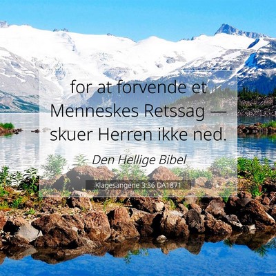 Picture 07 - Klagesangene 3:36 DA1871 - for at forvende et Menneskes Retssag — skuer - Bible Verse Picture