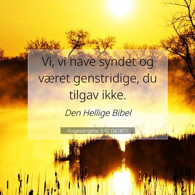 Picture 07 - Klagesangene 3:42 DA1871 - Vi, vi have syndet og været genstridige, du - Bible Verse Picture