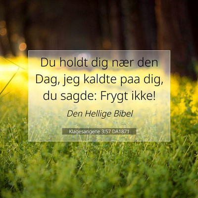 Picture 07 - Klagesangene 3:57 DA1871 - Du holdt dig nær den Dag, jeg kaldte paa dig, du - Bible Verse Picture