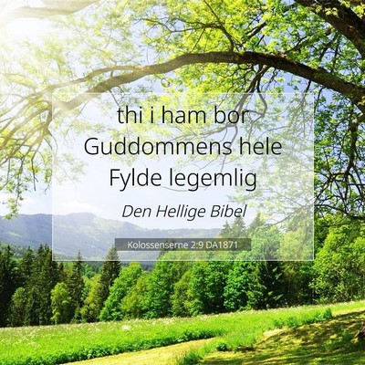 Picture 07 - Kolossenserne 2:9 DA1871 - thi i ham bor Guddommens hele Fylde - Bible Verse Picture