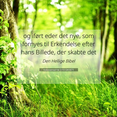 Picture 07 - Kolossenserne 3:10 DA1871 - og iført eder det nye, som fornyes til - Bible Verse Picture